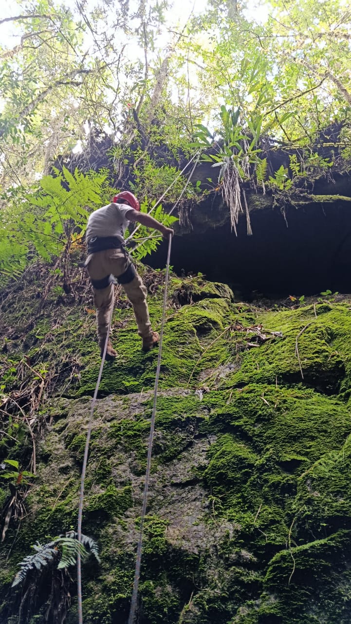 Escalada profesional